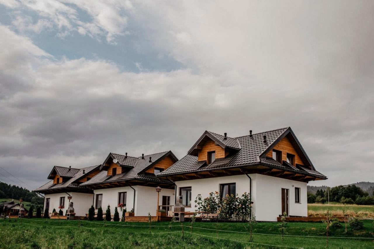 Domki Pod Wulkanem Krosnica  Exterior foto